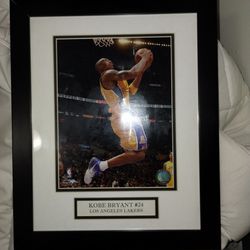 Kobe Bryant #24 2009 NBA NUMBERED PHOTO FILE