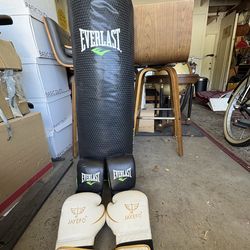 Heavy bag with training gloves, plus 14oz boxing gloves
