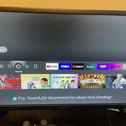 Insignia 24 Inch Smart FireStick TV