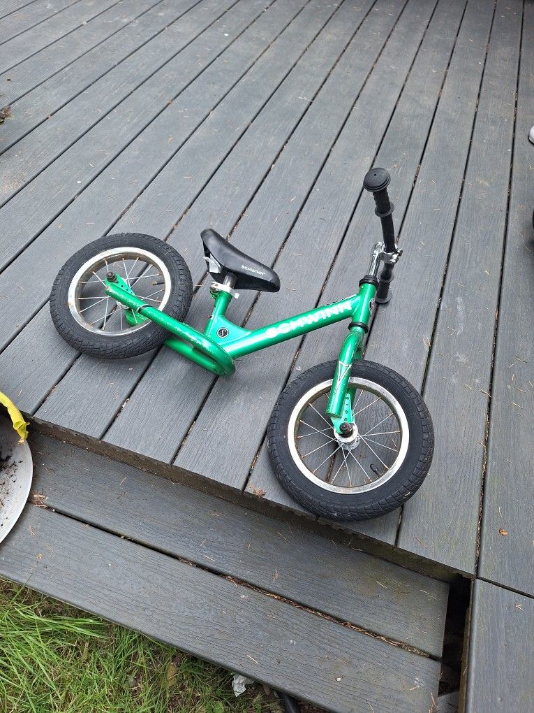 Schwinn Push Bike