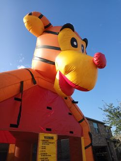 Bounce House With Blower
