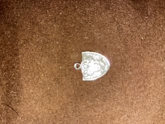 Sterling Silver Las Vegas Raiders Charm / Pendant