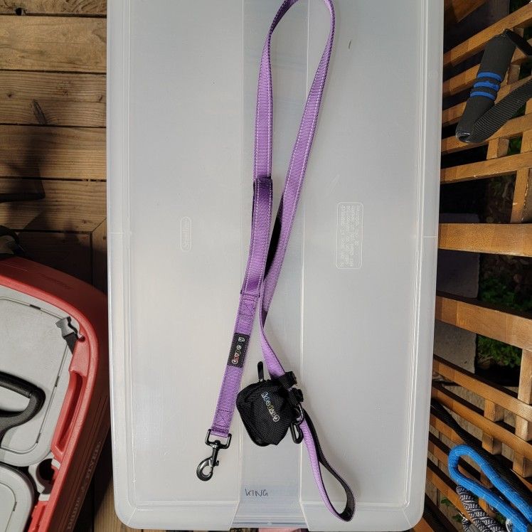 Dog Leash