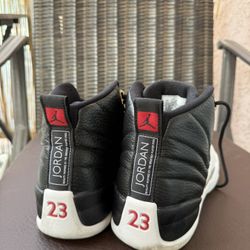 Nike air jordan 12