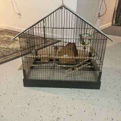 Bird Cage 