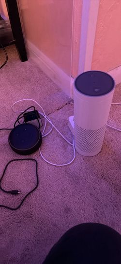 Alexa speakers