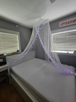 Bed Canopy with lights and remote control
