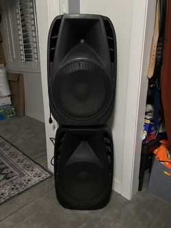 Gemini Loudspeaker