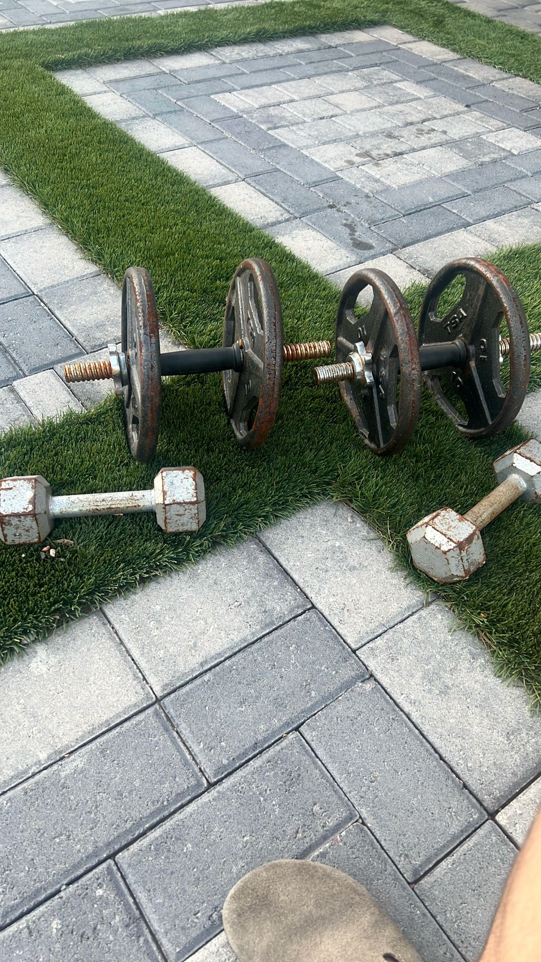 Weight Set Dumbells (60 Lbs)