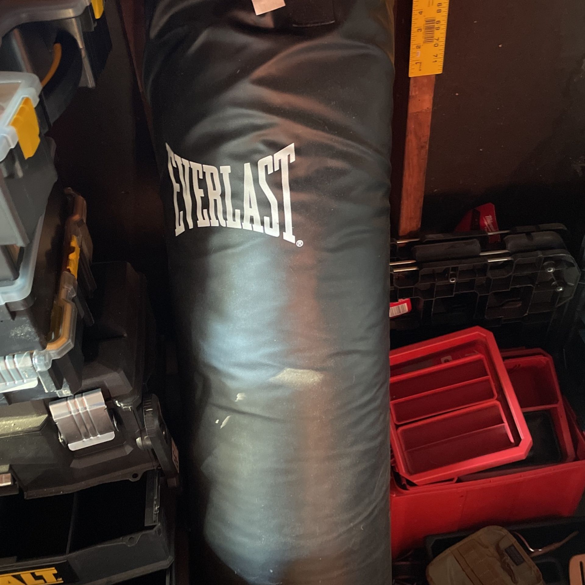Everlast Heavy Bag