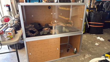 bearded dragon or similar reptile set up for entire lifespan