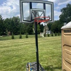Free - Adjustable Basketball Hoop