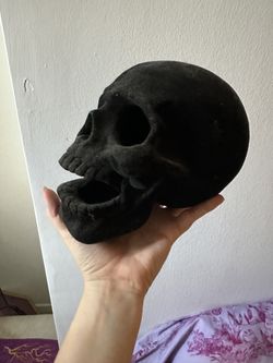 Black Velvet Skull