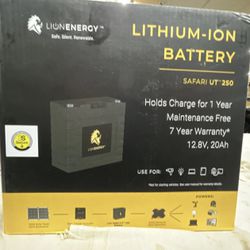 Lions Energy Lion Safari UT 250 Battery Lithium Ion Battery Camping RV Long Life