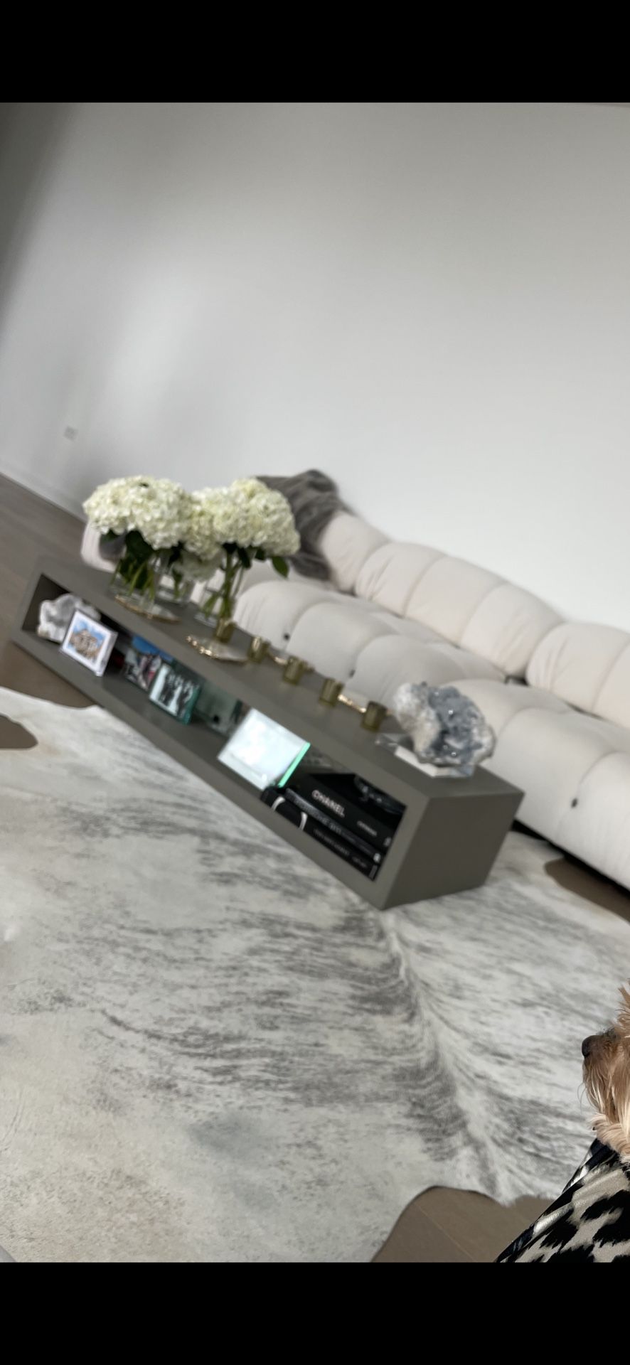 Cement Coffee Table/media Console