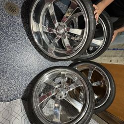26 INTRO WHEELS