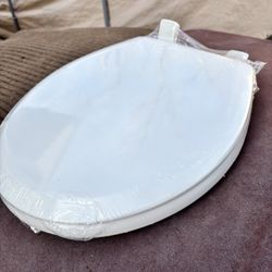 Next step Toilet Seat. $35