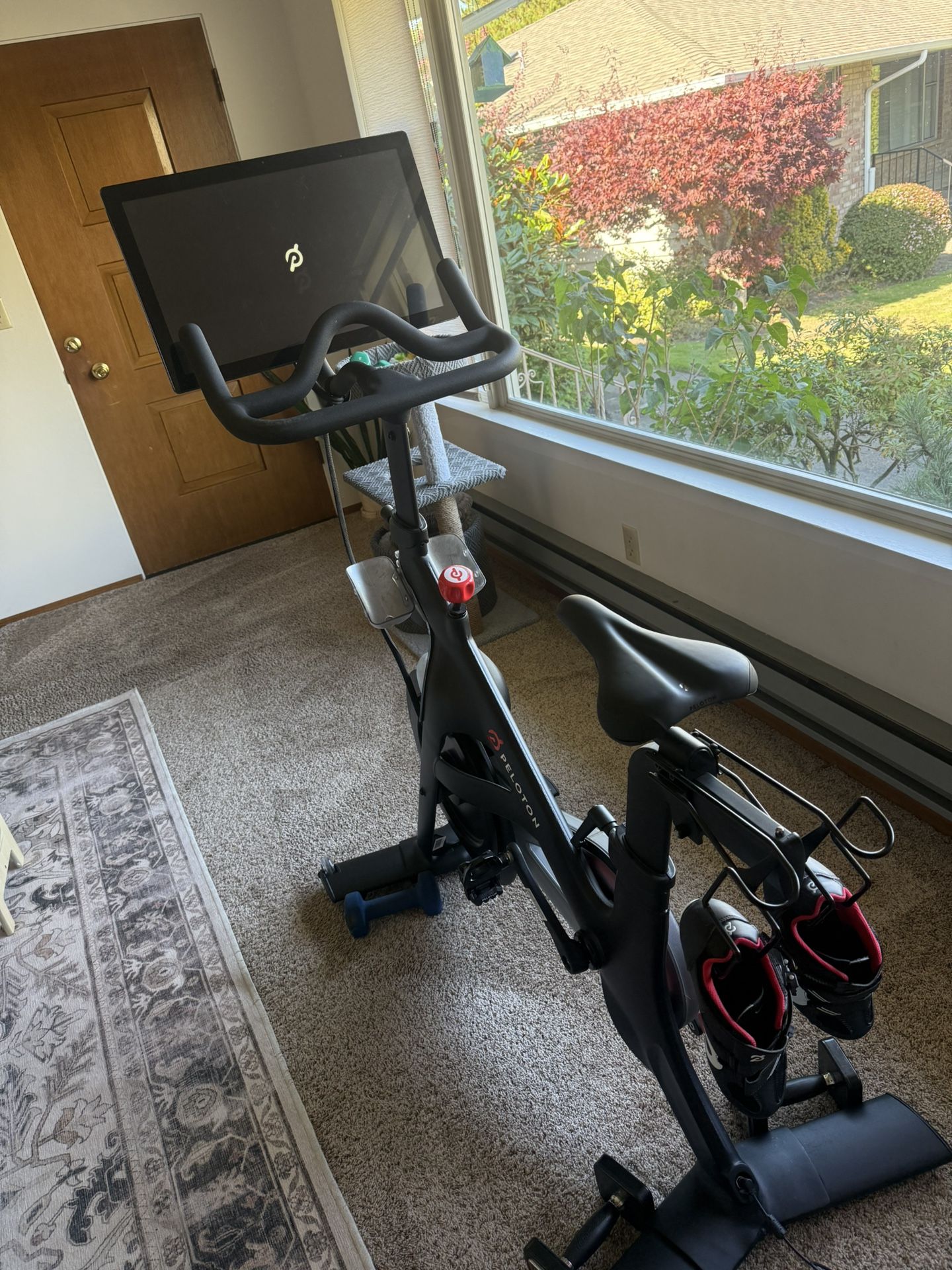 2021 Peloton