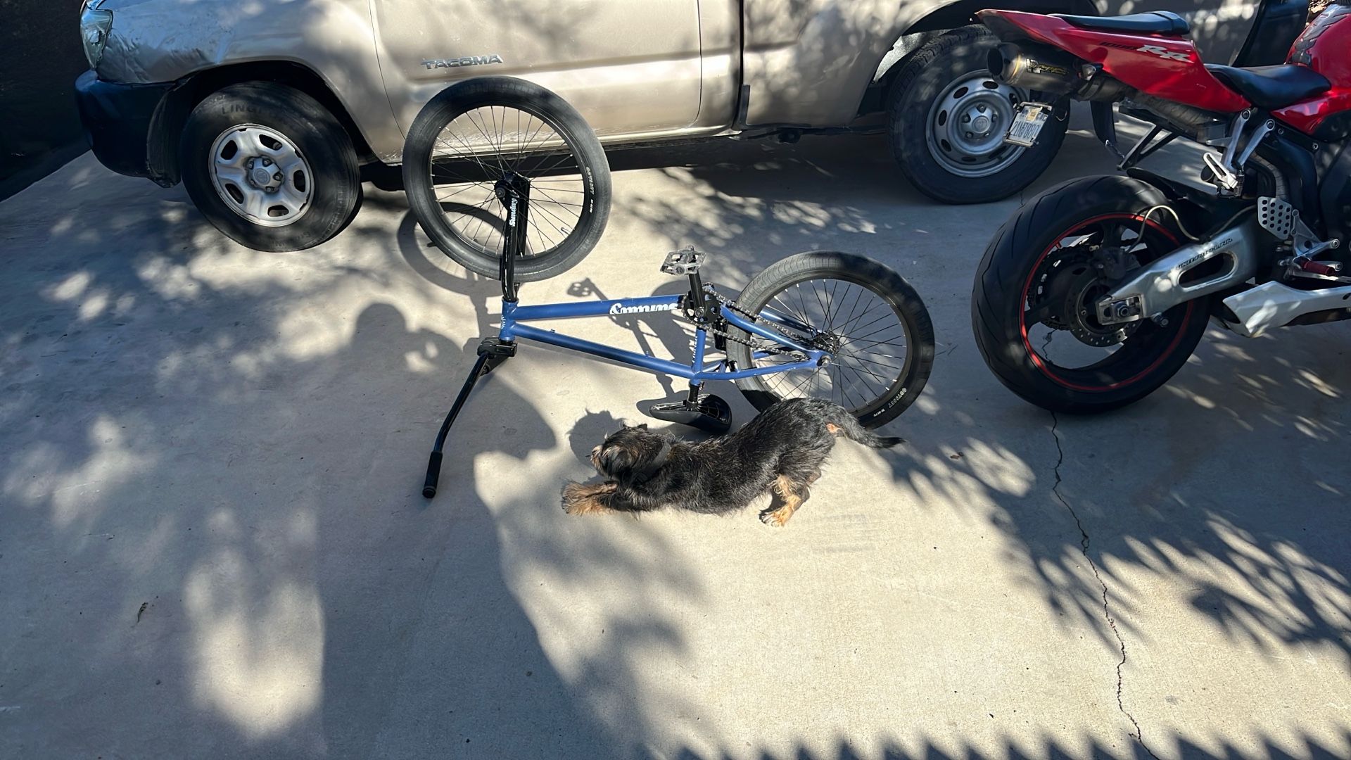 Sunday “primer” Freestyle BMX