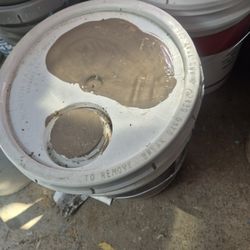 Varias Pintura S Exterior Y Interior $95 Cada Una 