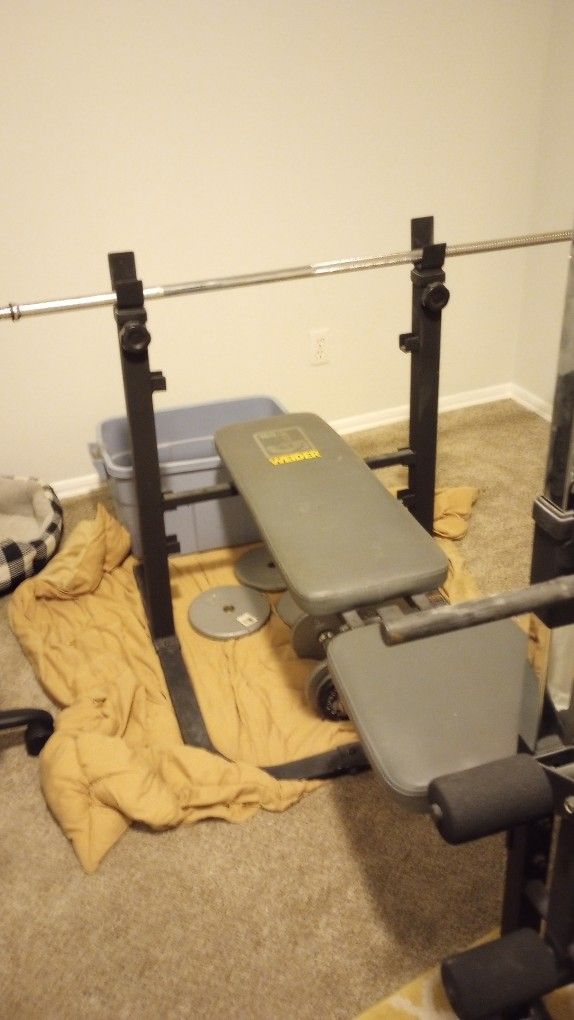 Weider 160 Bench Workout Equipment 