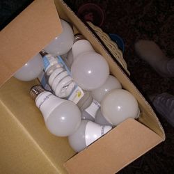 16 Led 5000k Light Bulbs 