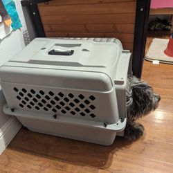 Petco top xl crate