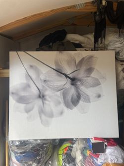 Wall Art Paint