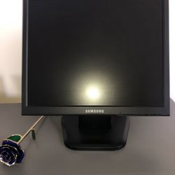 Samsung Computer Monitor 