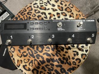 Boss ES-5