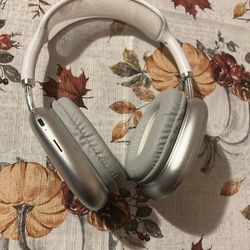 AirPod Pros Maxes Grey Color Opened Box