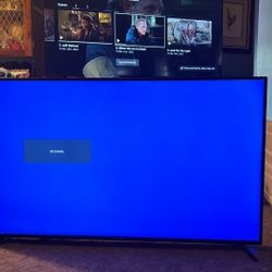 65” Sceptre Television