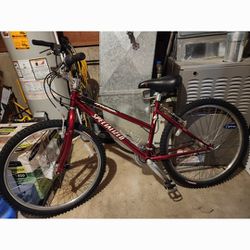 21" Specialized Bicycle