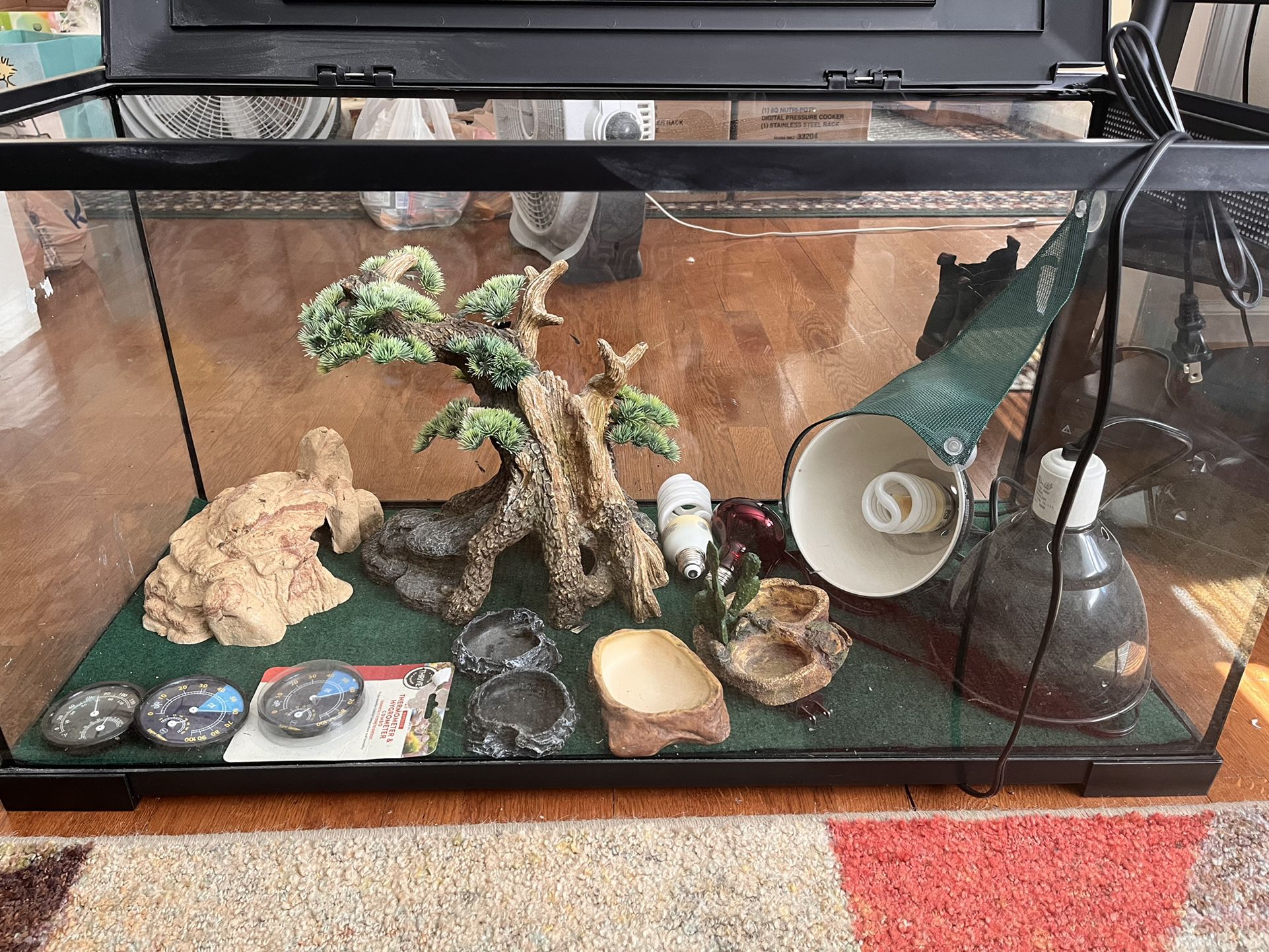 Terrarium With Bearded Dragon Accessories 
