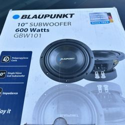 10” Subwoofer 