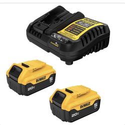 20V MAX Lithium-lon Battery Starter Kit with 5.0 Ah Batteries (2-Pack) and Charger