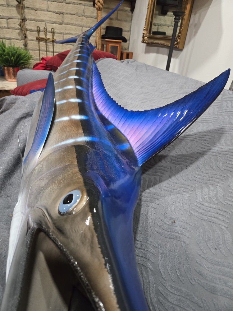 Huge Marlin