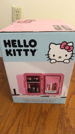 Mini Fridge for make up