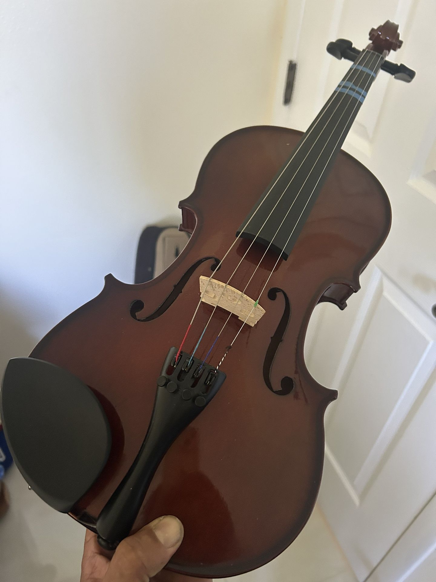 Violin Bow And Case