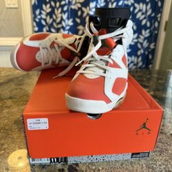 Jordan Gatorade 6s Sz 11