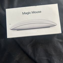 Apple Magic Mouse 