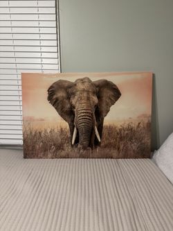 Elephant Wall Decor