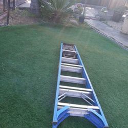 Blue Werner Ladder