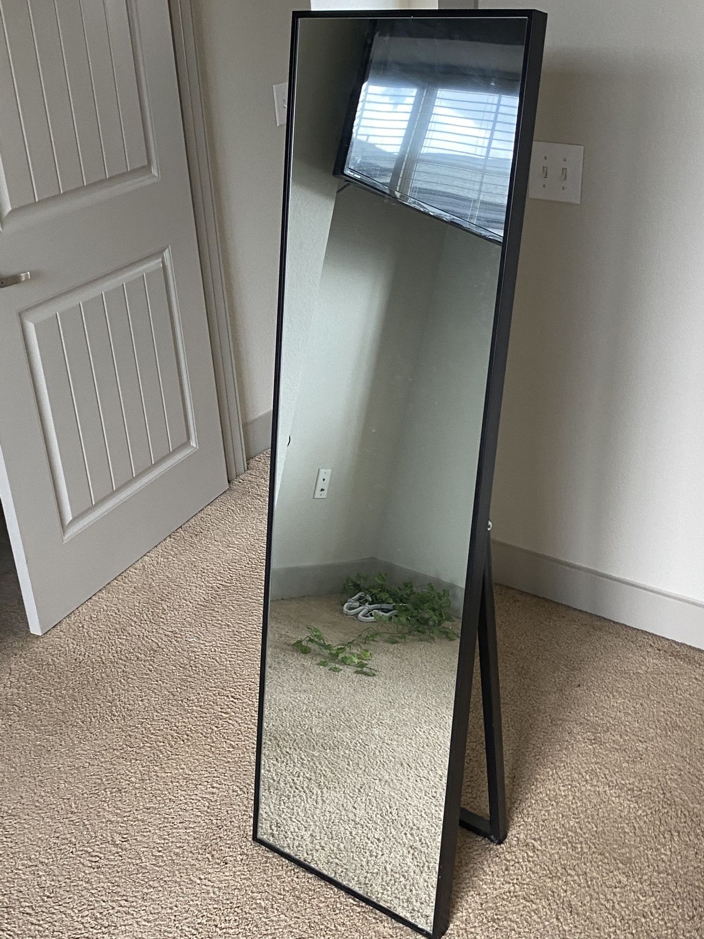 Body Mirror