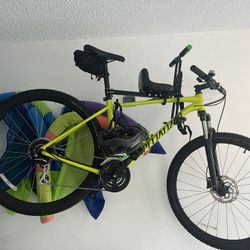 Specialized Mountain Bike