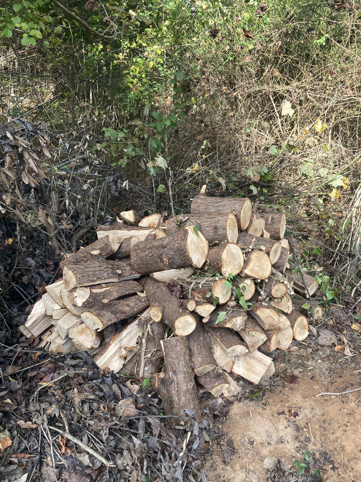Free firewood  828 417 8632
