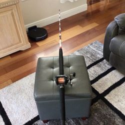 6  ft. Shakespeare Tidewater Rod,and Daiwa Reel For saltwater Fishing 