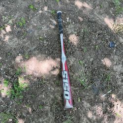 Bat