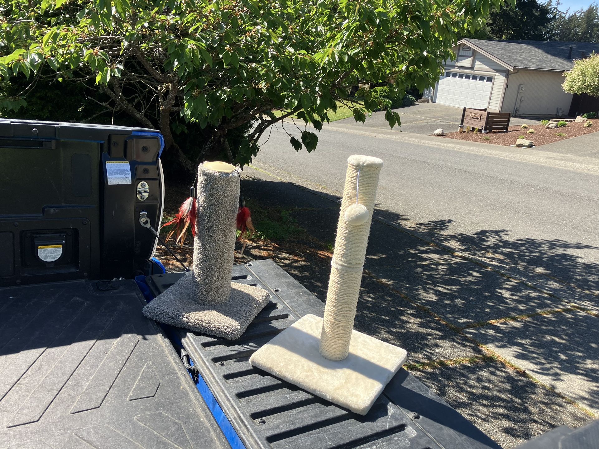 Cat Kitty Scratching Scratch Post Cat Kitty Tree Like New $20 Each