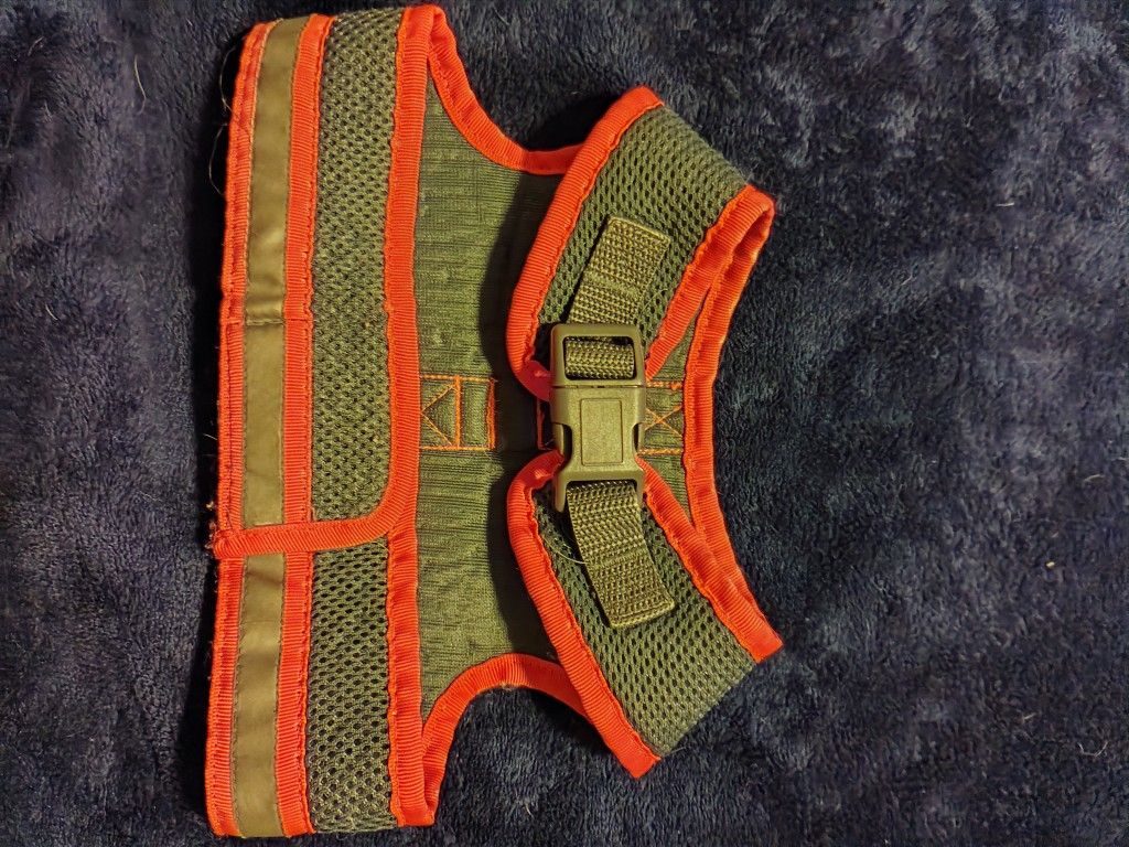 Harness